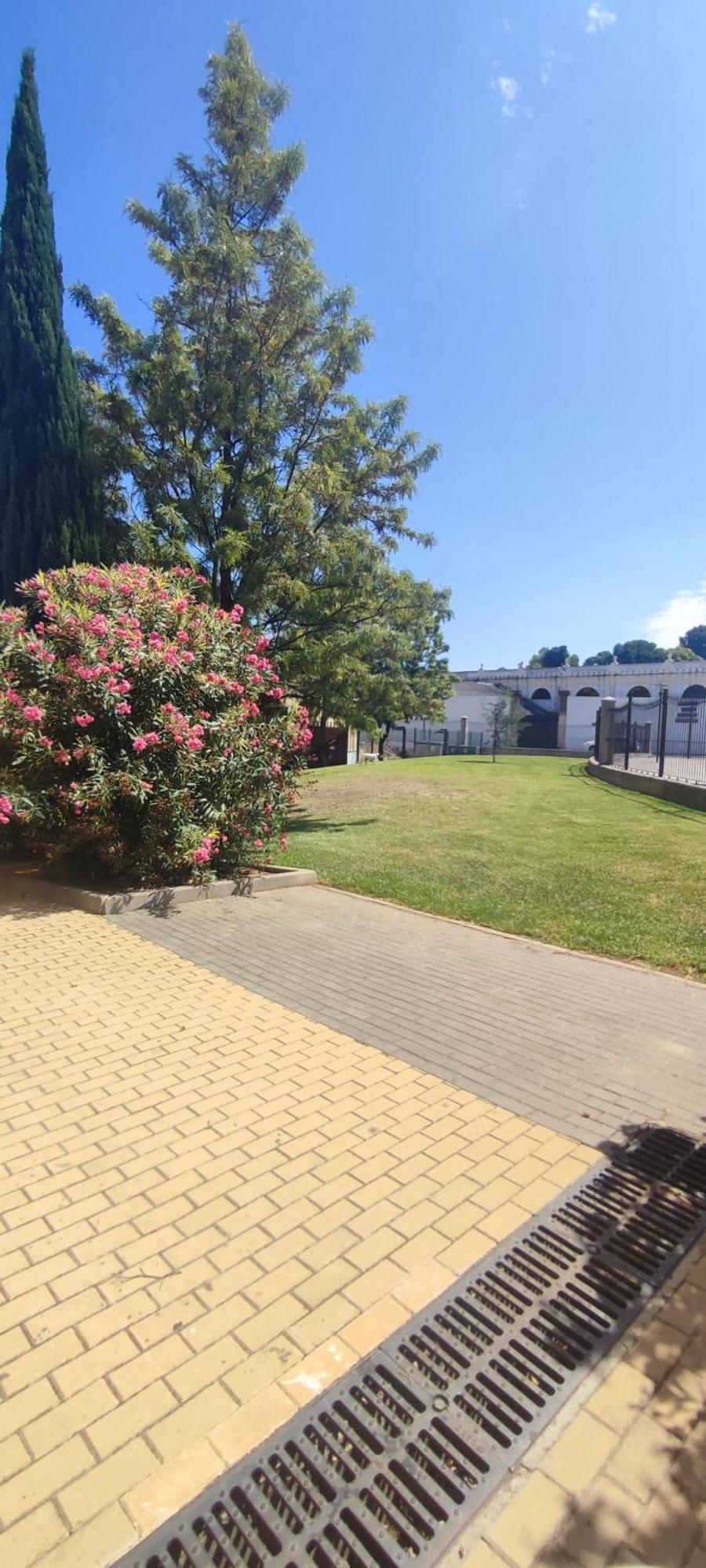 Cuatro Caminos Centro Jerez Daire Jerez de la Frontera Dış mekan fotoğraf
