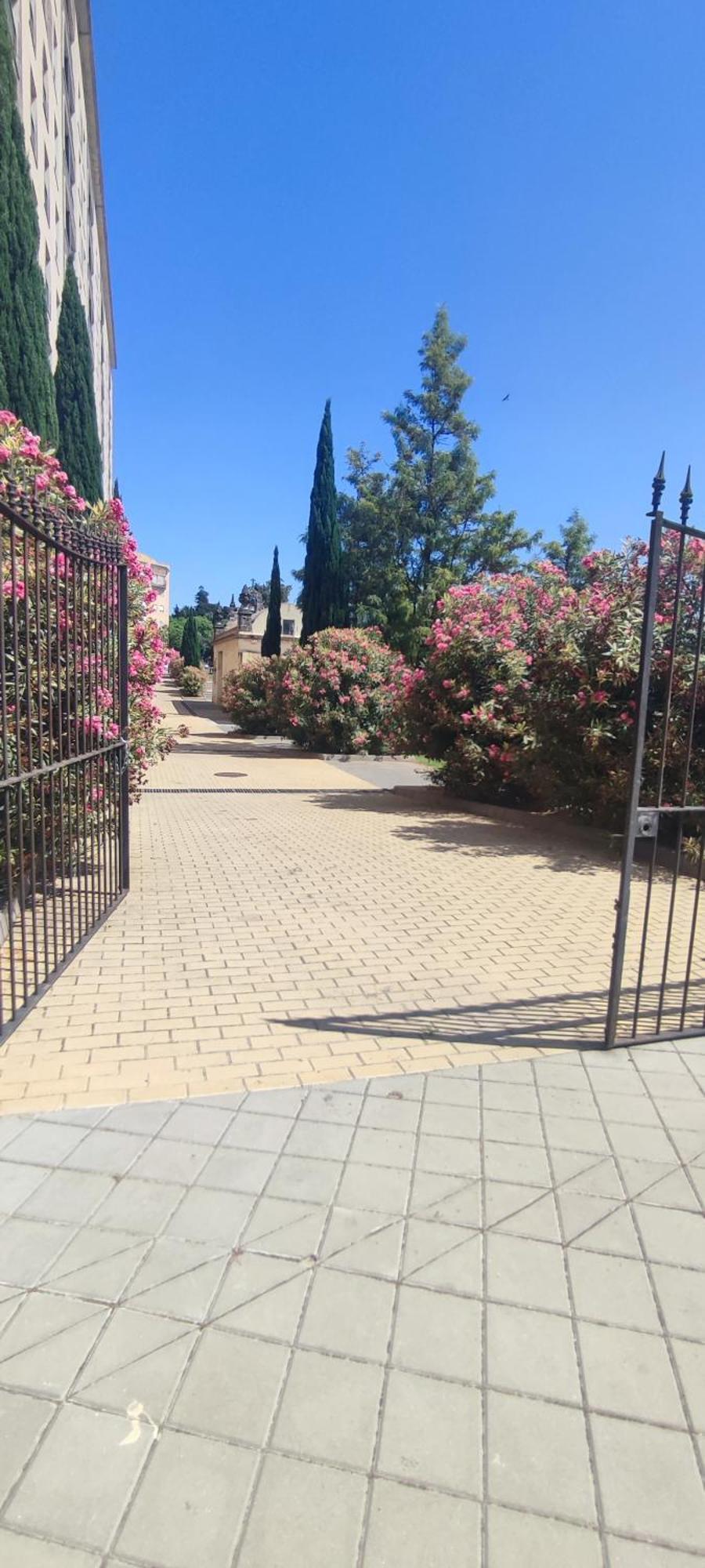 Cuatro Caminos Centro Jerez Daire Jerez de la Frontera Dış mekan fotoğraf